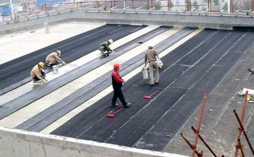 青浦區(qū)外墻防水服務(wù)與建筑勞務(wù)分包 同心協(xié)力，共筑品質(zhì)